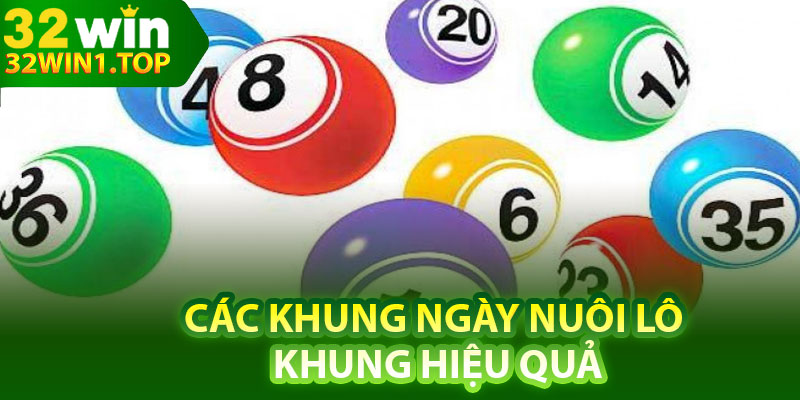 Các khung ngày nuôi lô khung hiệu quả